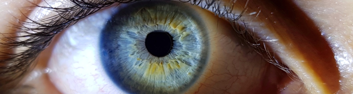 Intro Image